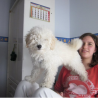 mariiniitaah